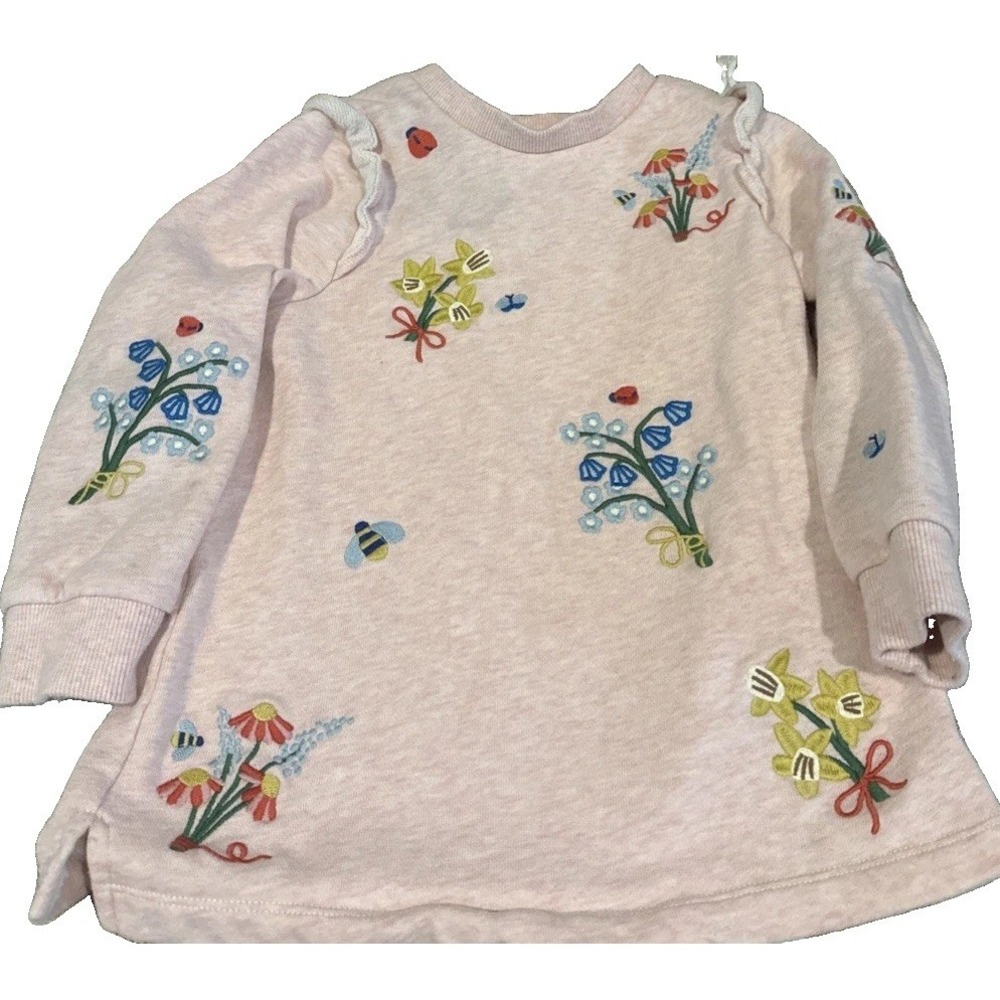 Mini Boden Girls 4/5 Yrs Floral Embroidered Pale Pink Ruffle Sweatshirt 🌸 🌼